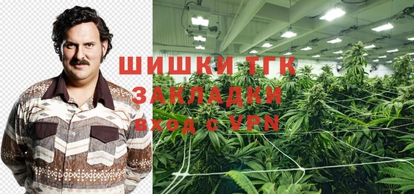 apvp Алзамай