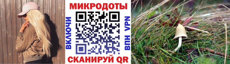 Псилоцибиновые грибы MAGIC MUSHROOMS Новоржев