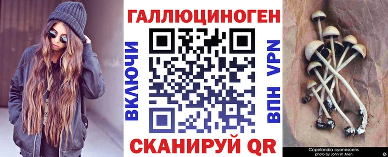 Псилоцибиновые грибы Cubensis  Новоржев 