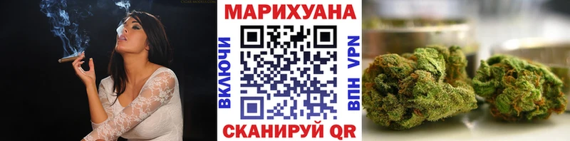 где можно купить наркотик  Новоржев  blacksprut сайт  Конопля Ganja 